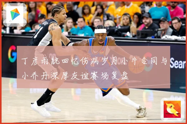 丁彦雨航回忆伤病岁月小牛合同与小乔丹深厚友谊赛场复盘