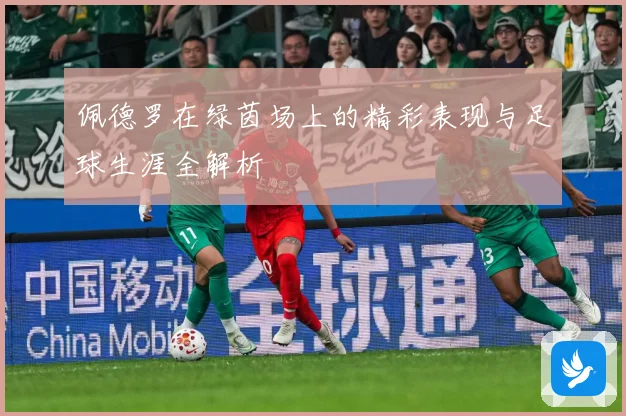 佩德罗在绿茵场上的精彩表现与足球生涯全解析
