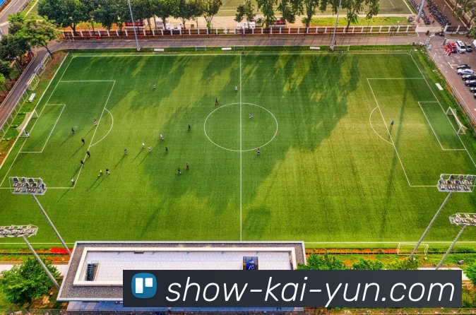 开云平台展示图