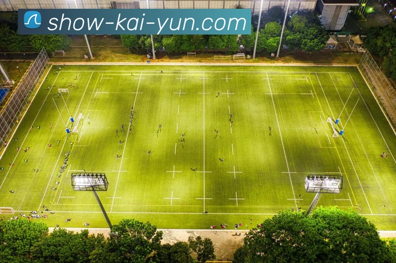 开云官网全站App